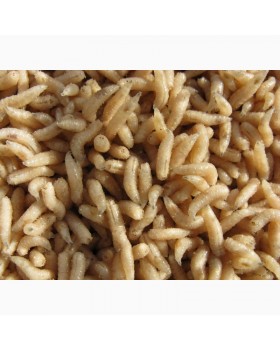 Опарыш фасованный в контейнере 100г