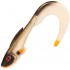 Golden Roach