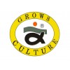 Grows Culture